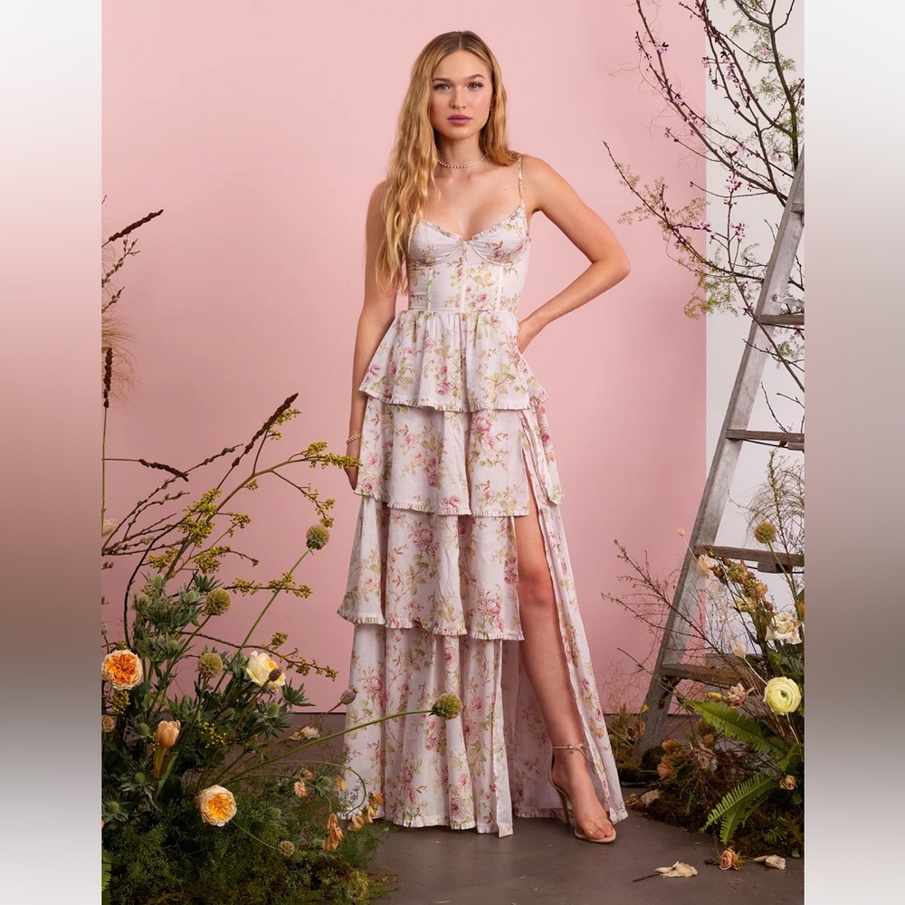 V. Chapman Caterina Dress in Pink Rose Print